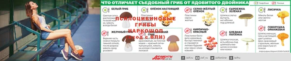 молекула духа Остров