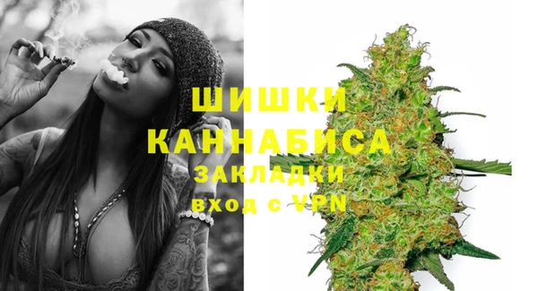 мдпв Осинники