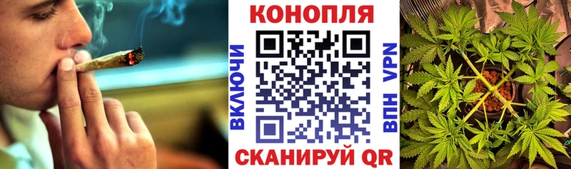 Канабис сатива  купить наркоту  Циолковский 